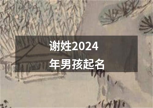 谢姓2024年男孩起名