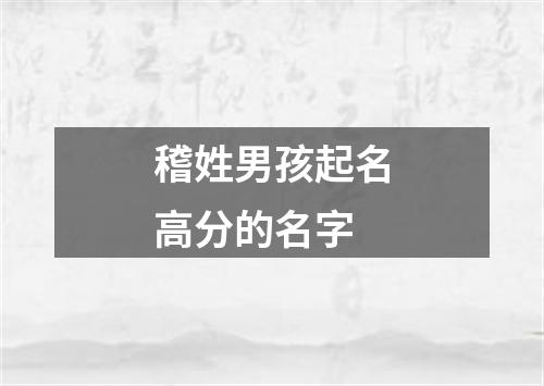 稽姓男孩起名高分的名字