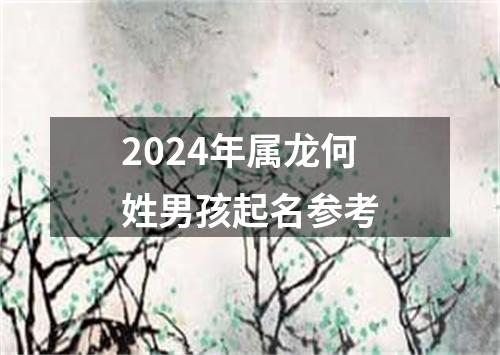 2024年属龙何姓男孩起名参考