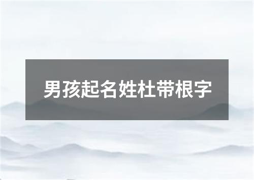 男孩起名姓杜带根字