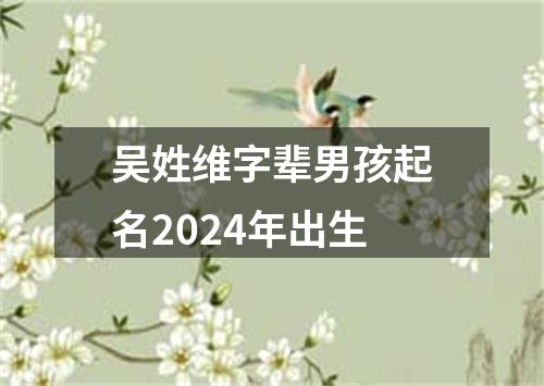 吴姓维字辈男孩起名2024年出生