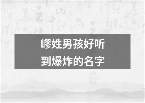 嵺姓男孩好听到爆炸的名字