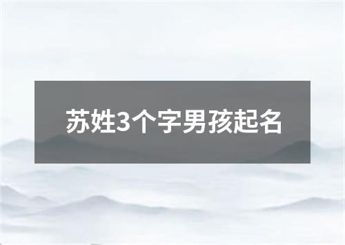 苏姓3个字男孩起名