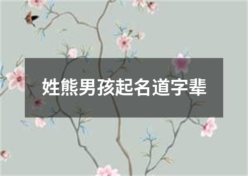 姓熊男孩起名道字辈