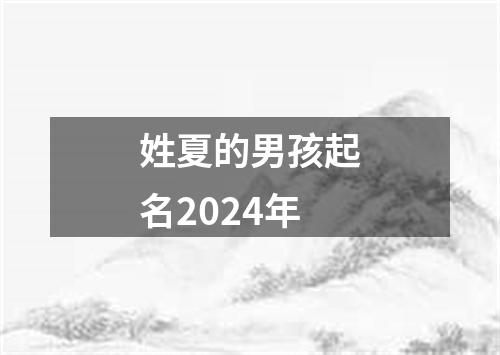 姓夏的男孩起名2024年