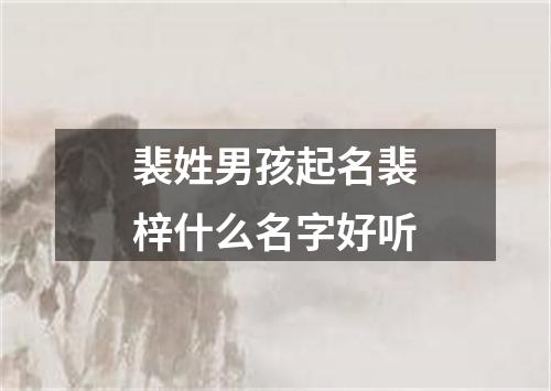 裴姓男孩起名裴梓什么名字好听