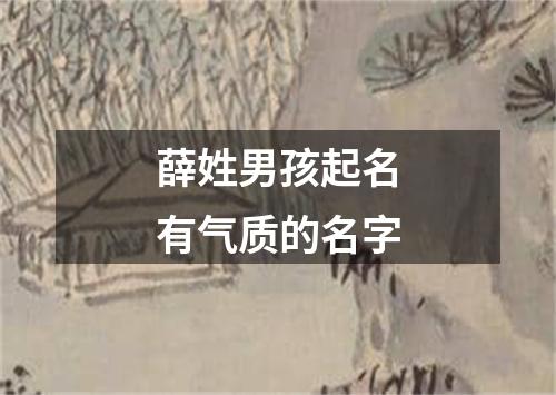 薛姓男孩起名有气质的名字