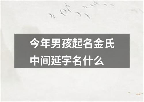 今年男孩起名金氏中间延字名什么