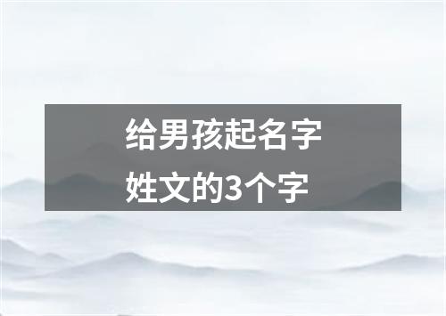 给男孩起名字姓文的3个字