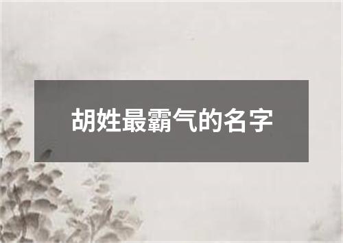 胡姓最霸气的名字