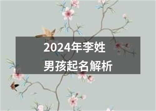 2024年李姓男孩起名解析