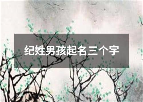 纪姓男孩起名三个字