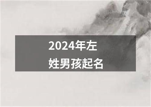 2024年左姓男孩起名