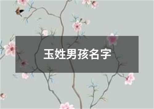 玉姓男孩名字