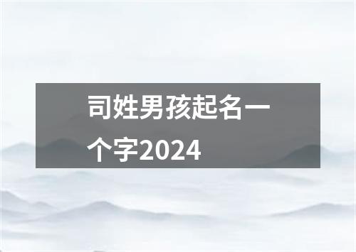 司姓男孩起名一个字2024