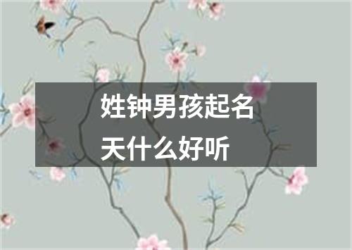 姓钟男孩起名天什么好听