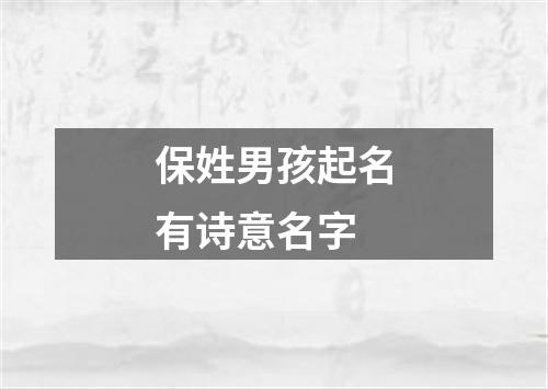 保姓男孩起名有诗意名字