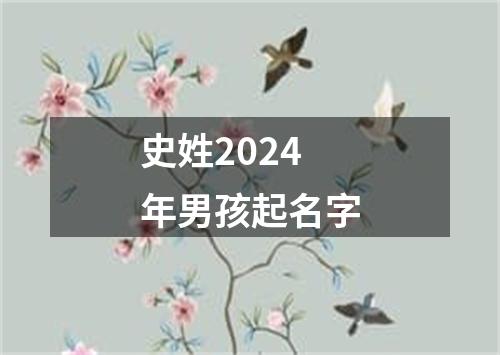 史姓2024年男孩起名字