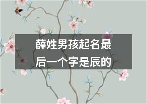 薛姓男孩起名最后一个字是辰的