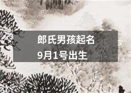 郎氏男孩起名9月1号出生