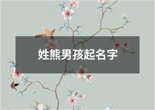 姓熊男孩起名字