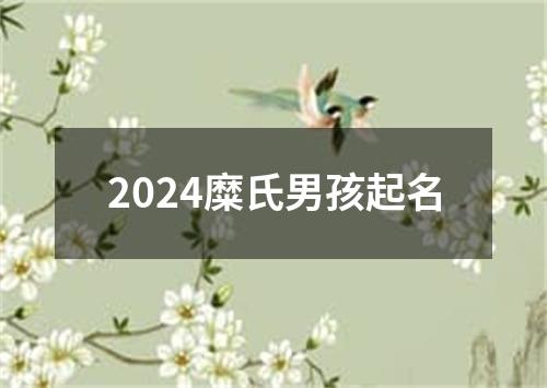 2024糜氏男孩起名