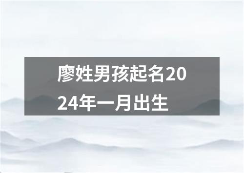 廖姓男孩起名2024年一月出生