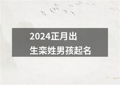 2024正月出生栾姓男孩起名