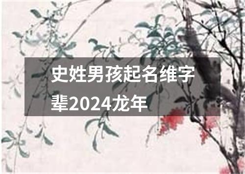 史姓男孩起名维字辈2024龙年