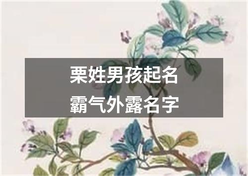 栗姓男孩起名霸气外露名字