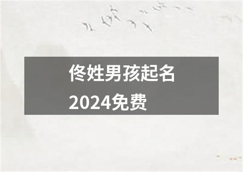 佟姓男孩起名2024免费