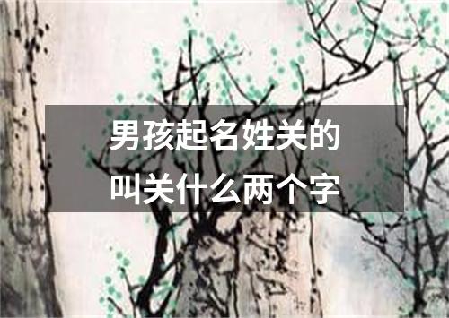 男孩起名姓关的叫关什么两个字