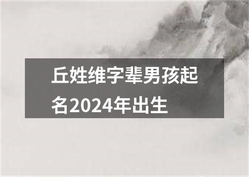 丘姓维字辈男孩起名2024年出生