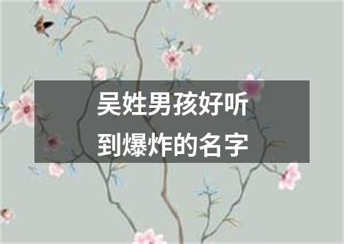 吴姓男孩好听到爆炸的名字