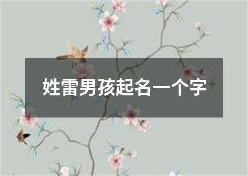 姓雷男孩起名一个字