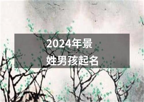 2024年景姓男孩起名