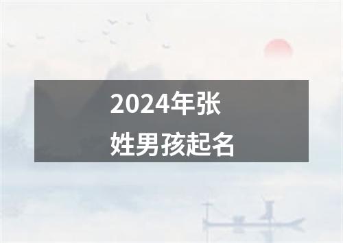 2024年张姓男孩起名