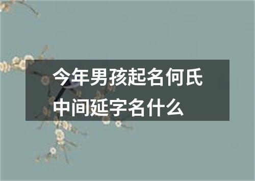 今年男孩起名何氏中间延字名什么