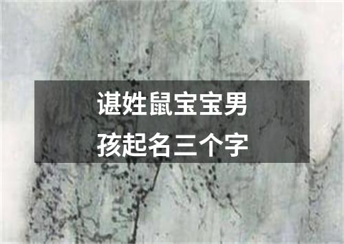 谌姓鼠宝宝男孩起名三个字