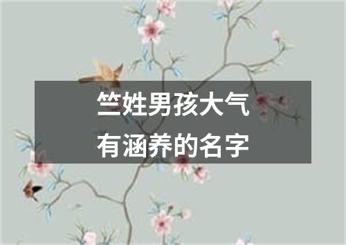 竺姓男孩大气有涵养的名字