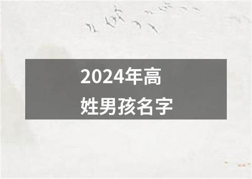 2024年高姓男孩名字