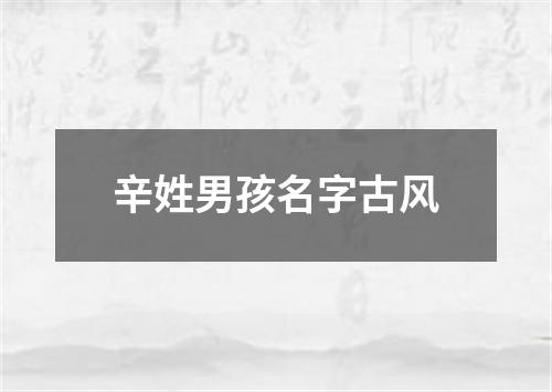 辛姓男孩名字古风