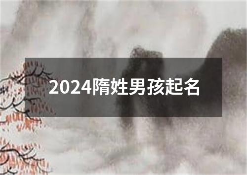 2024隋姓男孩起名