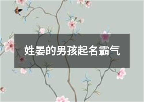 姓晏的男孩起名霸气