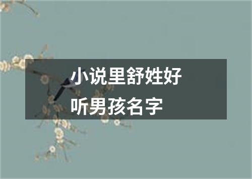 小说里舒姓好听男孩名字