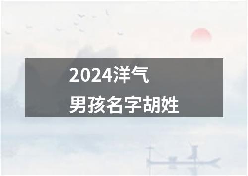 2024洋气男孩名字胡姓