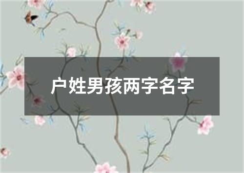 户姓男孩两字名字