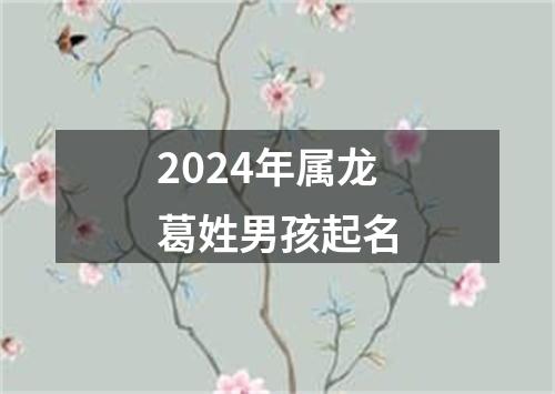 2024年属龙葛姓男孩起名