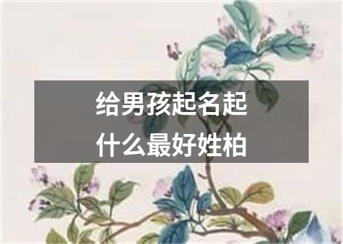 给男孩起名起什么最好姓柏