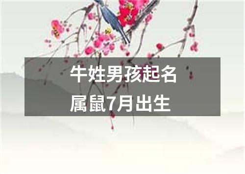 牛姓男孩起名属鼠7月出生